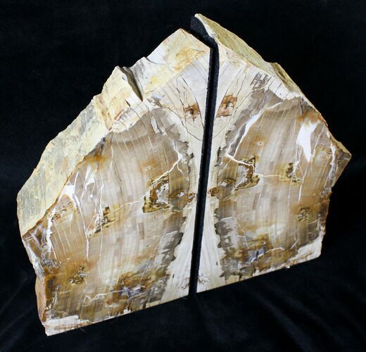 Oregon Petrified Wood Bookends - Oak #19520